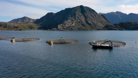 aerial footage farm salmon fishing in norway