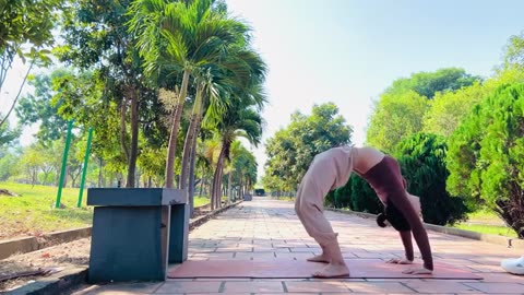 Morning Yoga & Stretching