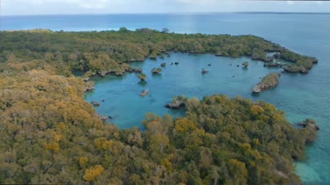 The beauty of the forest in the middle of the sea || Tropical Island