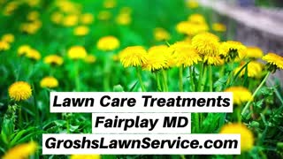 Lawn Care Treatments Fairplay MD Lawn Service