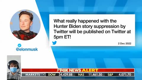 Elon Musk to publish "what really happened with the Hunter Biden story"