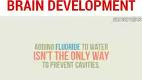 FLUORIDE DAMAGES BRAIN DEVELOPMENT