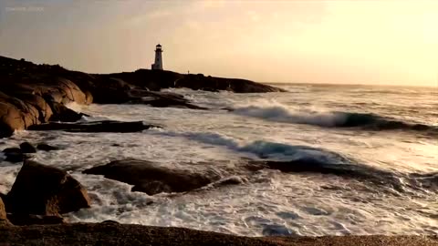 Ocean ASMR | Sounds from the Sea | Oceana Canada