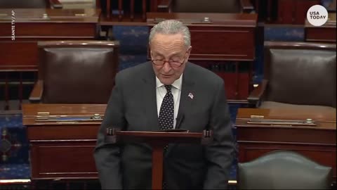 Chuck Schumer rips Trump for 'termination' of Constitution comments USA TODAY