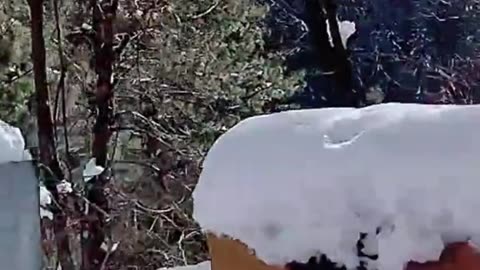 Murree Bhurban Road Snowfall View