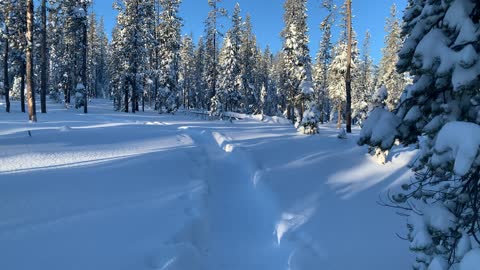 Snow Adventure in the Wee Hours of the Morning – Central Oregon – Swampy Lakes Sno-Park – 4K