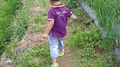 Little boy inthe garden