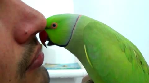 Conversation with my parrot,Worlds best Bird.