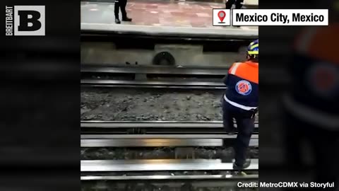 No Place to Play Chicken! Subway Traffic Grinds to Halt as Chicken Gets Loose on Mexico City Tracks