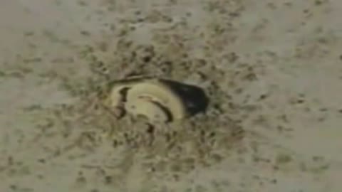 Real NASA Genesis UFO Crash (USA, 2006)