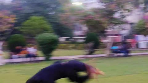 Parkour Tricks combo #parkour #flips