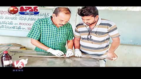 Wounded Cobra Undergoes Spinal Cord Surgery | Teenmaar News | V6 News