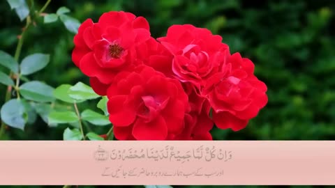 Surah Yaseen ( Yasin ) with Urdu Tarjuma _ surah yasin Session 01_ Quran with Urdu Hindi Translation