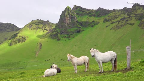 Iceland's Nature in 4K Prepare to Be Amazed Beyond Words