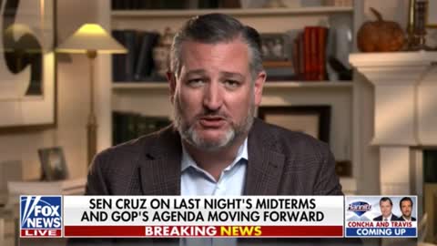 Ted Cruz Drops A Midterm Lesson: 'If We Don't Stand & Fight, We Don't Win'