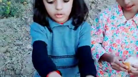 Kids eating Orange in field