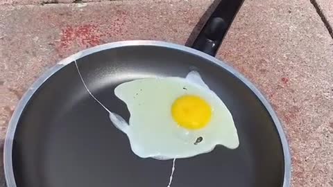 Is It Hot Enough to Fry an Egg?