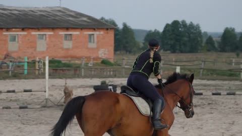 Horsewoman riding on brown horse and jumping the fence in sandy parkour riding arena