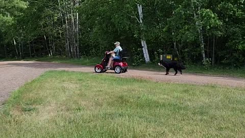 My Scooter & my co-pilot.