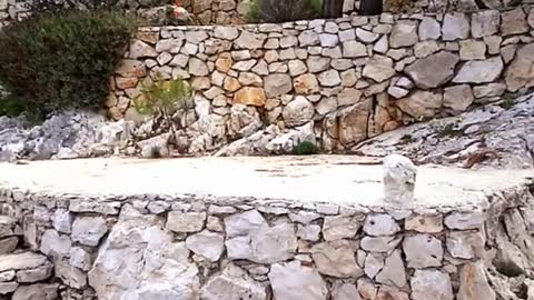 beach Zastupac, Hvar, island Hvar, Croatia