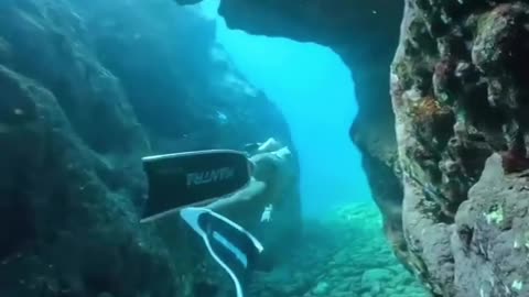 The Wonderful of Underwater Paradise