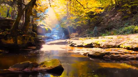 Enchanting Autumn Forests with Beautiful Piano Music