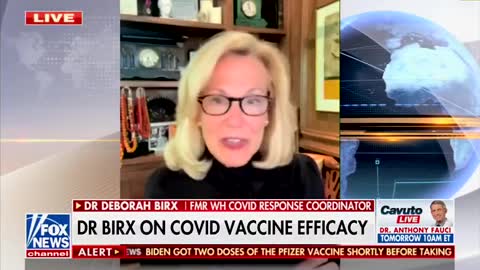 DR. DEBORAH BIRX: "I KNEW THESE VACCINES WERE NOT GOING TO PROTECT AGAINST INFECTION.."