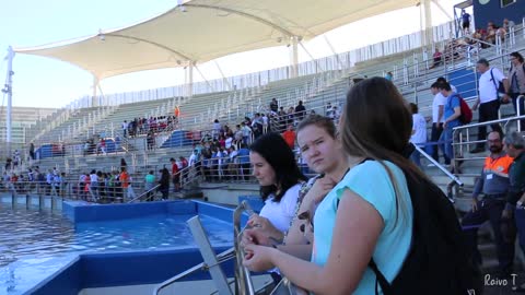 Best Dolphin Show! Oceanografic Valencia Dolphinarium