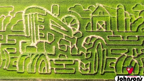 Massive Corn Maze at Watermelon Festival This Weekend at Johnson's Farm Produce