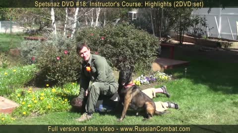 how to defend against dog attack dog training