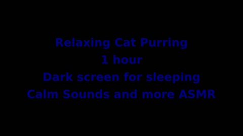 Relaxing cat purring to help you fall alseep.