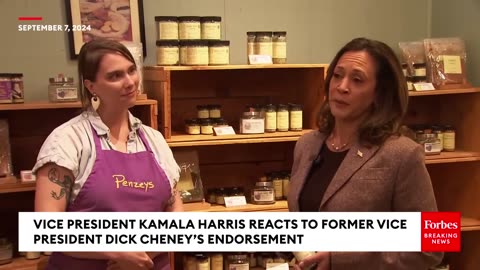 Kamala Harris Reacts To Getting Dick Cheney's Support