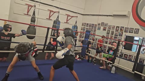 Joey sparring Jimmy 1. 8/29/24