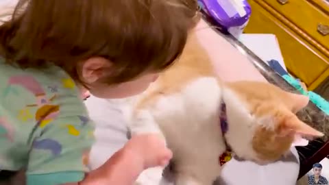 Funny baby's and cat