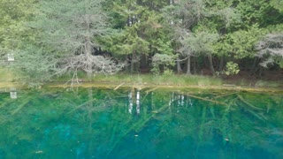 Kitch-iti-kipi Spring, Michigan