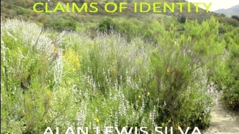 15 CLAIMS OF IDENTITY Leaderships of Disappearing Power by Alan Lewis Silva