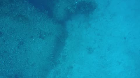 Kensho Maru Propeller