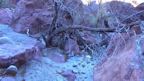 In Search of Ancient Colorado River Cobbles