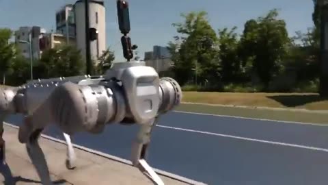 China_ Robo-dog maker surprised as its machines armed with guns in military exer