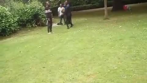 Illegal muslim and african Migrants fight in Dublin park in broad daylight