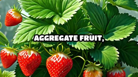 Surprising Fruit Facts: Bananas vs. Strawberries