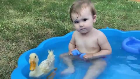 Funny Baby Reaction to Duckling in the Pool