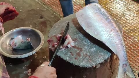 Fish Cutting