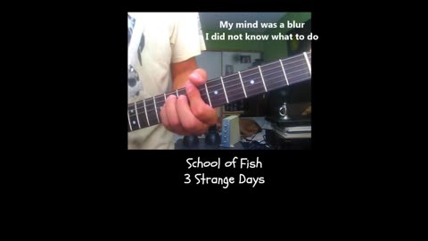 3 Strange Days ~ School of Fish ~ a Fishy Lesson.