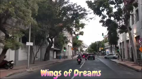 Wings of Dreams