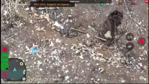 💣🇺🇦 Ukraine Russia War | Drone Drops Grenade on Russian Occupier | RCF