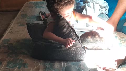 Child Playing with Turtle