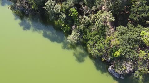 Lake in Brazil