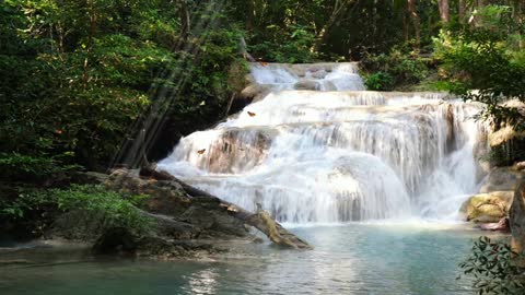 10 minutes meditation | Relaxation music | Water fall | Birds voice| Morning meditation | relax mind