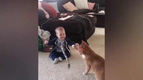 Funniest Baby And Cat moments